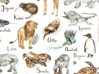 Artprint | Tieralphabet, englisch