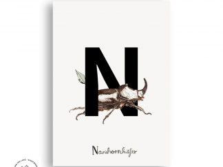 Tier ABC | Postkarte | N
