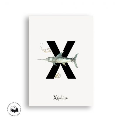 Buchstabenpostkarten_Ansicht_X_klein Buchstabenpostkarten_Ansicht_X_klein