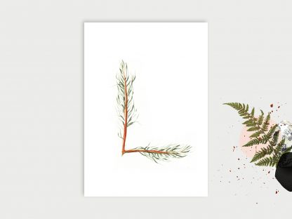 Wald-ABC_L