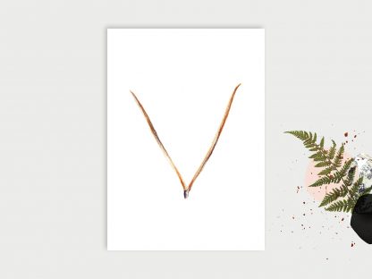 Wald-ABC_V