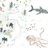 Weltkarte_Detail2