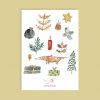 Weihnachtsbaumanhänger_Wupp und Frühling_Ansicht1